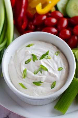 Fiesta Veggie Dip Close